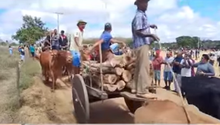 Festival Carro de Boi